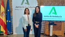 Andaluc&iacute;a planea construir 20.000 viviendas protegidas en cinco a&ntilde;os