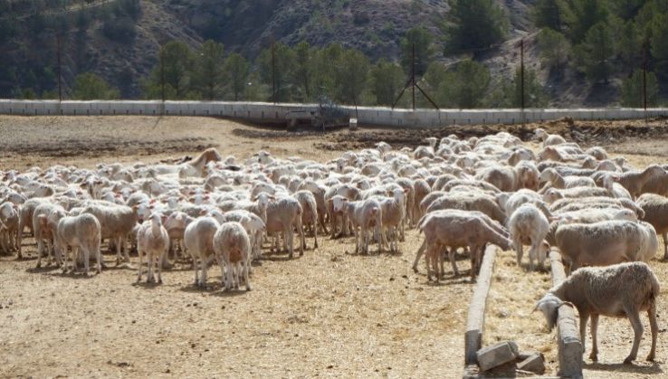 Preocupaci&oacute;n en el sector agrario por las consecuencias de la guerra en Ucrania