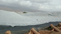 El Gobierno eleva a 7,31 millones las ayudas a 350 agricultores de Almer&iacute;a afectados por la dana