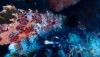 La reserva marina de Cabo de Gata-N&iacute;jar cumple 29 a&ntilde;os protegiendo la biodiversidad