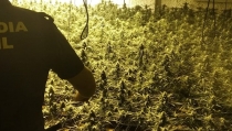 La Guardia Civil neutraliza tres centros de producci&oacute;n indoor de marihuana
