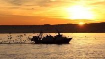 Andaluc&iacute;a propone crear un grupo de trabajo que garantice el futuro de la pesca en el Mediterr&aacute;neo
