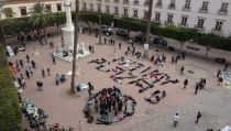 El TSJA paraliza el traslado de los &aacute;rboles de la Plaza Vieja de Almer&iacute;a