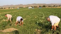 UPA se&ntilde;ala las 13 precauciones para evitar los peligros del calor en el campo