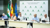 La propuesta de nueva PAC tendr&iacute;a consecuencias "devastadoras" para el campo andaluz