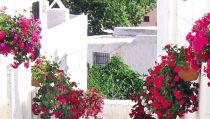 LUCAINENA DE LAS TORRES: Gastronom&iacute;a, cultura y ocio, en el regreso del D&iacute;a de las Flores