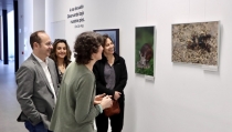 La UAL expone 'A ras de suelo', fotograf&iacute;as de naturaleza de Eva de Mas