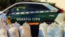 La Guardia Civil desmantela un plantaci&oacute;n de marihuana en Paterna del R&iacute;o