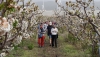 SENDERISMO: &Eacute;xito de las primeras Rutas del Cerezo en Flor Nacimiento Sierra Nevada en Abla