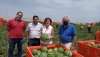 La campa&ntilde;a de sand&iacute;a arranca con un 30% de aumento en los costes de producci&oacute;n