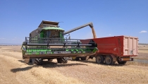 La producci&oacute;n de cereales se desploma un 95% en Almer&iacute;a a causa de la sequ&iacute;a