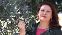 Las exportaciones andaluzas de aceite de oliva crecieron un 80,6% en enero