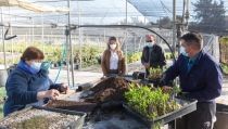 Life Adaptate ense&ntilde;ar&aacute; a los municipios herramientas contra el cambio clim&aacute;tico