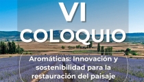 El potencial transformador de las arom&aacute;ticas, protagonista del VI Coloquio AlVelAl