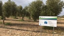 El proyecto SoilCare de la UAL apunta a una agricultura m&aacute;s sostenible y rentable