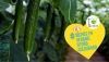 Hortyfruta fomenta el uso del control biol&oacute;gico en los cultivos de invernadero