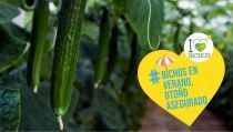 Hortyfruta fomenta el uso del control biol&oacute;gico en los cultivos de invernadero