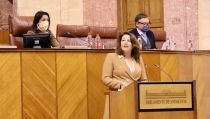 La LECA se presenta como la ley de la sostenibilidad social, medioambiental y econ&oacute;mica