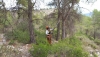 Andaluc&iacute;a invierte 3,7 millones en gesti&oacute;n forestal sostenible en Almer&iacute;a