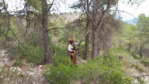 Andaluc&iacute;a invierte 3,7 millones en gesti&oacute;n forestal sostenible en Almer&iacute;a
