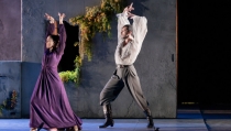 Andaluc&iacute;a celebra el D&iacute;a del Flamenco con un centenar de actividades