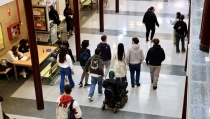 Medicina, Enfermer&iacute;a y Matem&aacute;ticas, los grados con m&aacute;s nota de corte de la UAL