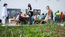Entregan los premios a los mejores huertos escolares de Almer&iacute;a