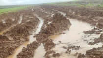 COAG Almer&iacute;a exige que todos los municipios afectados reciban ayudas por los temporales