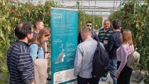 La C&aacute;tedra UAL-Coexphal muestra su aportaci&oacute;n a la digitalizaci&oacute;n de la agricultura