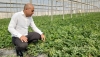 La campa&ntilde;a 'No cortes en verde' revisa 1,4 millones de kilos de sand&iacute;a y mel&oacute;n en Almer&iacute;a
