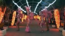 V&iacute;car da a conocer los premiados en el concurso 'El Carnaval desde casa'