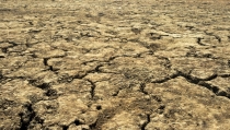 ASAJA Almer&iacute;a exige acci&oacute;n inmediata ante la sequ&iacute;a extrema que sufre la provincia