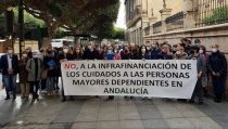 Las patronales de la Dependencia se concentran para exigir la sostenibilidad