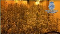 Desmantelan un grupo que transporta droga e intervienen 415 kilogramos de hach&iacute;s