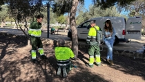 N&iacute;jar utiliza la endoterapia para controlar la oruga procesionaria en los pinos