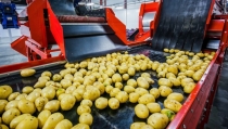 El valor de las exportaciones hortofrut&iacute;colas a Estados Unidos aumenta un 34%