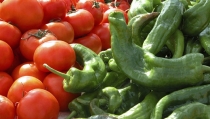 ASAJA Almer&iacute;a denuncia que el tomate cuesta en el supermercado un 500% m&aacute;s que lo que cobra el agricultor