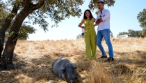 Andaluc&iacute;a ampliar&aacute; las ayudas a la ganader&iacute;a extensiva con otros 22 millones para 2026 y 2027