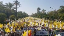 El sector agrario andaluz rechaza el decreto de convergencia aprobado por el Gobierno