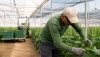 La prevenci&oacute;n de riesgos laborales, clave para mejorar la gesti&oacute;n de las explotaciones agr&iacute;colas