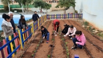 Escolares de Hu&eacute;rcal de Almer&iacute;a aprenden a cultivar huertos en sus colegios