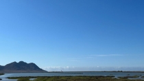 2.200 aves de 25 especies pasaron en abril por las Salinas de Cabo de Gata