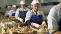 Ayudas de m&aacute;s de 7,6 millones para la transformaci&oacute;n de productos de la pesca y la acuicultura
