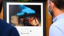 &lsquo;Clave Visual&rsquo; sobre la fauna y flora almeriense adornan el Paseo de Almer&iacute;a