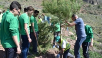V&iacute;car contin&uacute;a ampliando sus zonas verdes gracias al Plan Savia