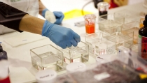 El programa Emergia capta a 42 investigadores de prestigio para la ciencia andaluza