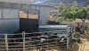 El incendio de Los Gallardos causa da&ntilde;os en 19 explotaciones de ganado ovino y caprino