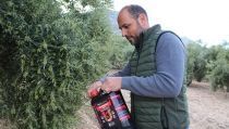 Un abono elaborado con algas y bacterias evita usar qu&iacute;micos en cultivos agr&iacute;colas