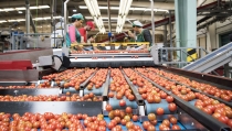 Andaluc&iacute;a avanza con la primera Estrategia de la Cadena de Valor de la Agroindustria