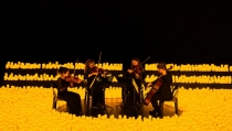 Candlelight vuelve a Almer&iacute;a con conciertos dedicados a Queen, Coldplay y Zimmer